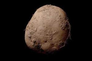 Ирландский фотограф сделал снимок картошки, который купили за 1 миллион долларов