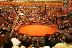 В Кирове гимнастка упала во время циркового представления