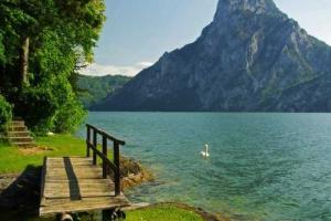 В Австрии на озере всплыли два чемодана с расчлененным телом женщины 