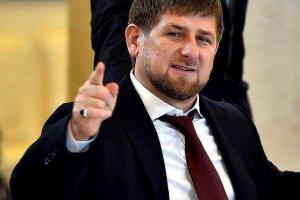 Кадырова растрогала дружба собаки и котенка