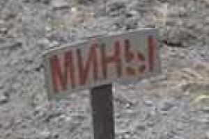 Под Горловкой начались работы по разминированию на 3-х участках