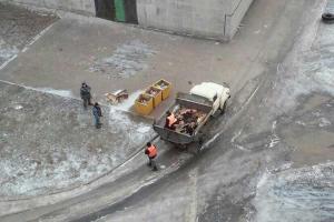 В Горловке бездомных собак убивают на глазах у детей