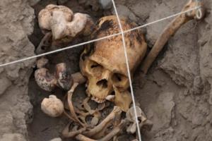 В Шотландии под детской площадкой был обнаружен скелет пирата