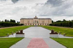 Вблизи резиденции Путина в Петербурге задержали кавказца с пистолетом