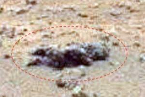 На снимках с Марса исследователи нашли труп ребенка