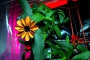 В NASA объявили об историческом событии на МКС