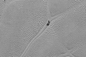 На Плутоне обнаружили гигантскую улитку