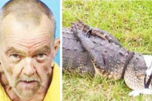 В США престарелый зоофил регулярно насиловал аллигатора в отместку за то, что тот однажды чуть не убил его