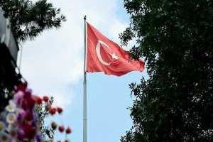 Власти Турции вызвали посла РФ из-за вторжения российского боевого самолета