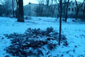 В Мариуполе "открылся" новый браконьерский сезон