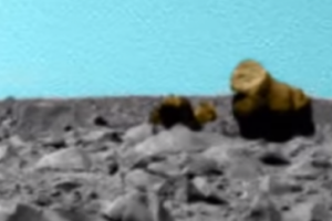 Уфологи-любители нашли на Марсе гориллу и верблюда