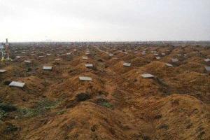 Родственники погибших «героев ЛНР» требуют компенсации от Плотницкого 