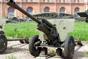 В Волгограде военные после салюта в честь 23 февраля потеряли пушку