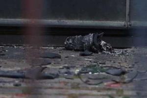 В Берлине здание полиции забросали зажигательными бомбами 