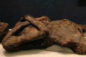 В США охранник музея изнасиловал египетскую мумию