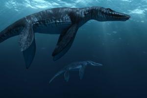 В США и Японии найдены останки неизученного вида доисторических рыб