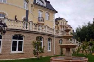 Министр Януковича шокировал шикарным особняком в Чехии