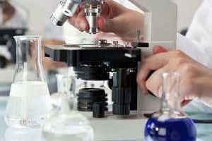 В США представили революционный метод лечения рака