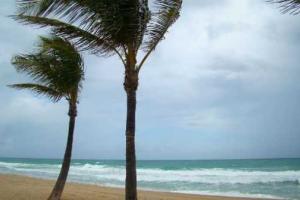 17 человек погибли во время тропического циклона на Фиджи