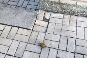 В Константиновке во двор судьи бросили боевую гранату