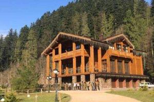 «Закарпатское Межигорье»: в сети появились фото особняка Медведчука в Карпатах