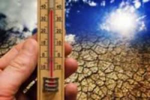 Следующие два года будут аномально жаркими - метеорологи