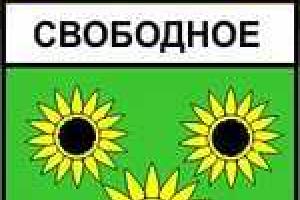 Снаряды боевиков попали в населенный пункт Свободное: есть раненые