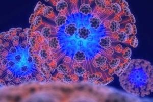 Мир напуган распространением вируса Зика