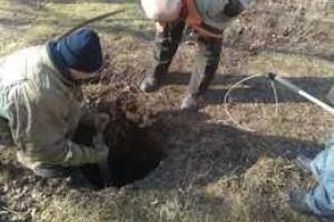 В Мариуполе спасатели достали из колодца собаку