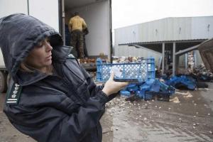 В Ростове-на-Дону трактор раздавил 18 тонн польских шампиньонов