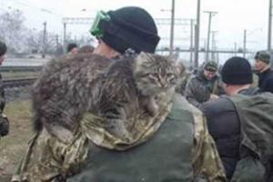 Волонтер рассказал о необычной ротации ВСУ 