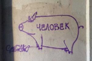 Центр Одессы разрисовывают свиньями