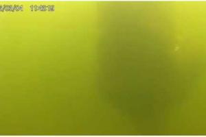 Киевские водолазы обнаружили ужасную находку