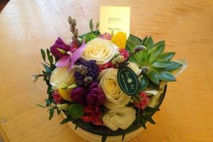 Насиров удивлен реакцией Сыроед на его презент