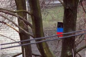 В Донецке появились «республиканские» скворечники