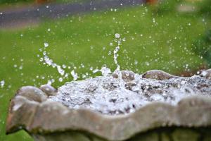 Столичные фонтаны заработают с 1 мая