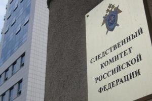 Няню, отрезавшую голову девочке, могут посадить на 25 лет