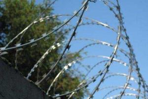 Эстония частично отделится от России забором 