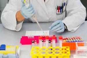 Вирус Зика зафиксирован в 52 странах