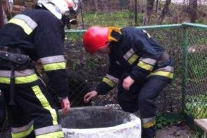 Во Львове женщина упала в колодец