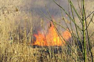 В Мариуполе спасатели боролись с огнем, который мог перекинуться на заправки