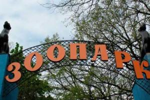 8 марта вход в харьковский зоопарк будет бесплатным для всех женщин 