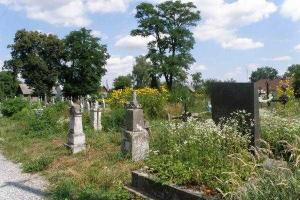 Возле кладбища во Львове нашли труп