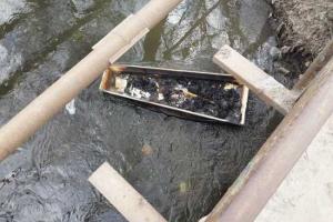 Харьковчан напугал гроб, плавающий по реке