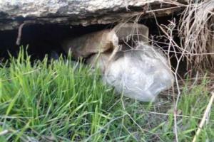 В Мариуполе удалось избежать возможных жертв: раскрыт тайник боеприпасов