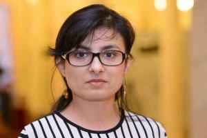 По факту попытки поджога дома нардепа Войцицкой начато криминальное производство