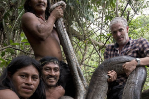 В джунглях Амазонки нашли самую длинную в мире анаконду