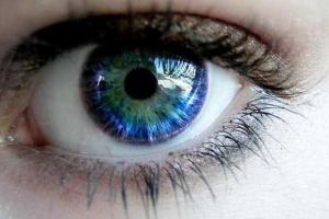 Ученые узнали какой продукт защитит от слепоты