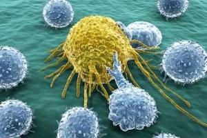 В борьбе с раком ученые намерены скоро поставить точку