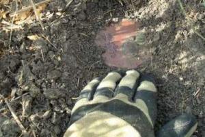 Боевики "ЛНР/ДНР" активно минируют линию разграничения 